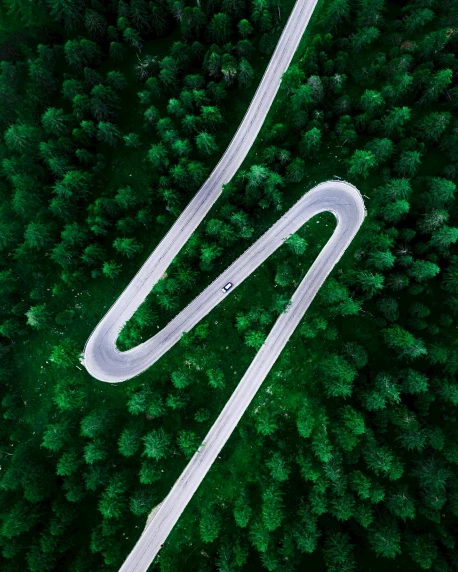 a winding road in the middle of a forest, by Adam Marczyński, unsplash contest winner, helicopter view, very elongated lines, green and white, thumbnail