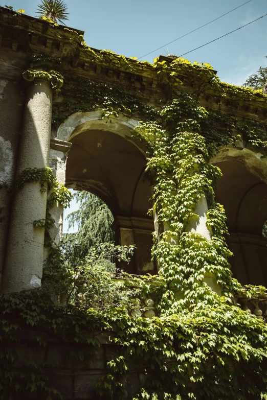 an old building covered in vines and vines, an album cover, pexels contest winner, renaissance, pillars and arches, 4 k photo autochrome, ruined, exterior botanical garden