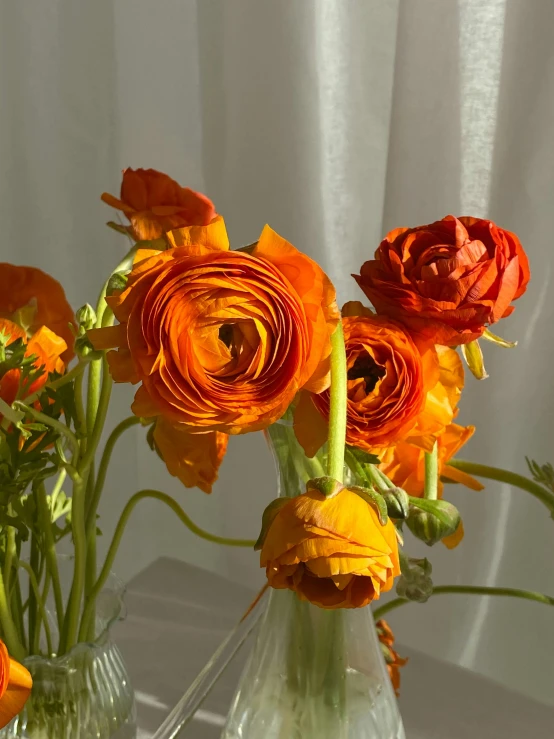 a couple of vases filled with flowers on a table, bright orange eyes, close up shot from the side, slide show, dark oranges reds and yellows