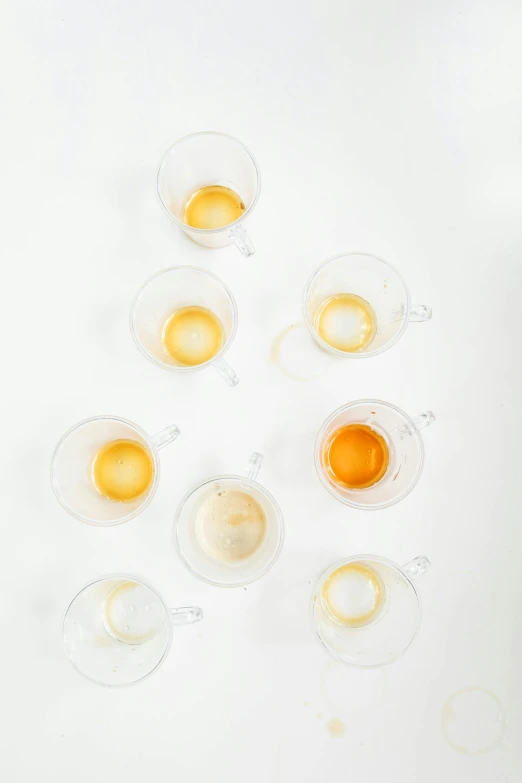 a blender filled with eggs sitting on top of a counter, by Jessie Algie, trending on unsplash, process art, drinking tea, floating translucent graphics, set against a white background, cups and balls
