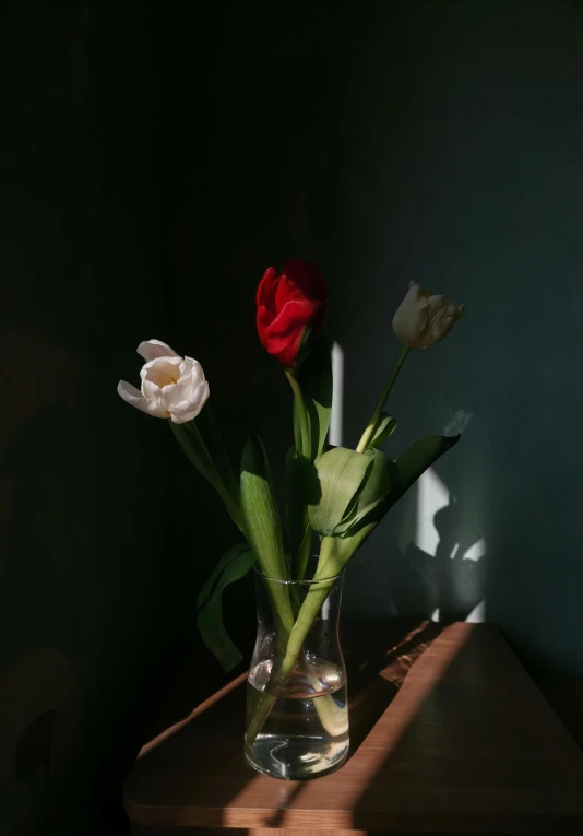 a vase filled with flowers sitting on top of a wooden table, inspired by Elsa Bleda, unsplash contest winner, tulips, soft grey and red natural light, lit up in a dark room, olive green and venetian red