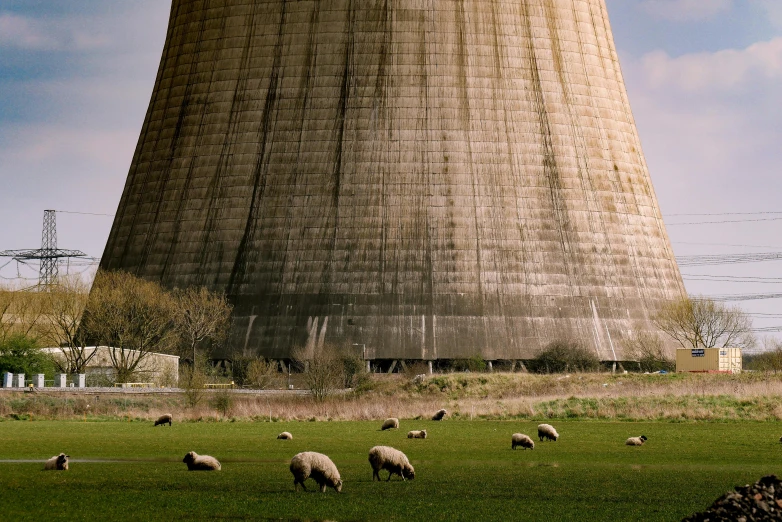 a group of sheep grazing in a field in front of a cooling tower, unsplash, nuclear art, national geograph, giant towering pillars, phot