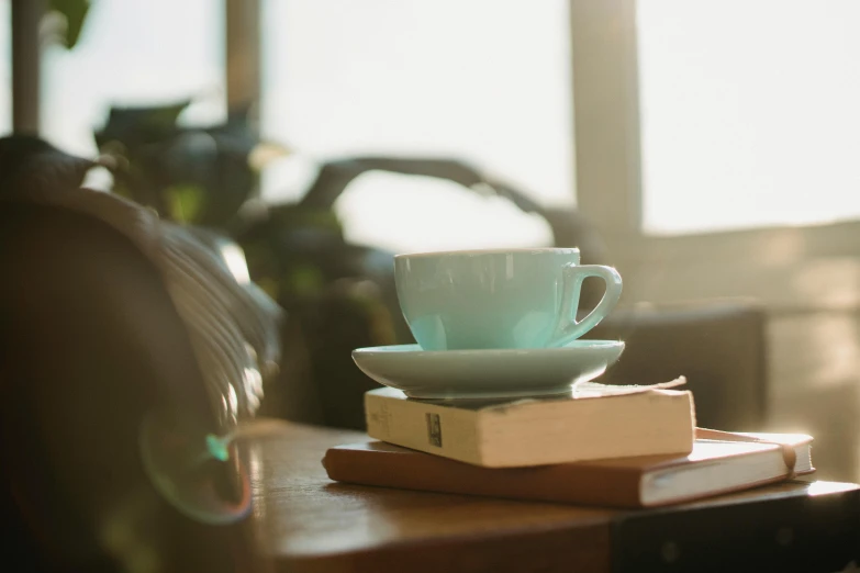 a coffee cup sitting on top of a stack of books, a still life, trending on unsplash, soft window light, avatar image, glowing hue of teal, thumbnail