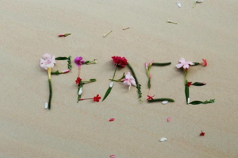 the word peace is made out of flowers, trending on pexels, beach, background image, diverse, 3 pm