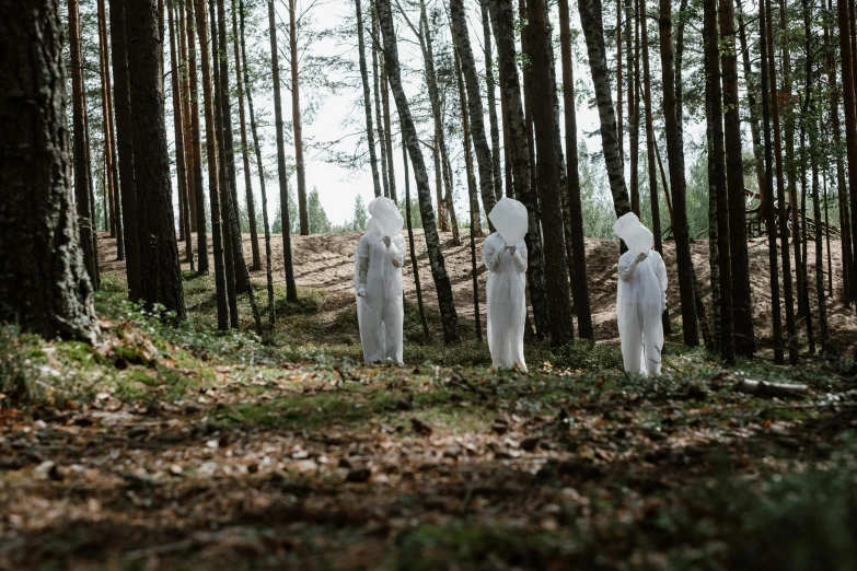 three ghostly figures standing in the middle of a forest, by Marina Abramović, pexels contest winner, land art, white bandages on fists, distant hooded figures, cardboard, life-size