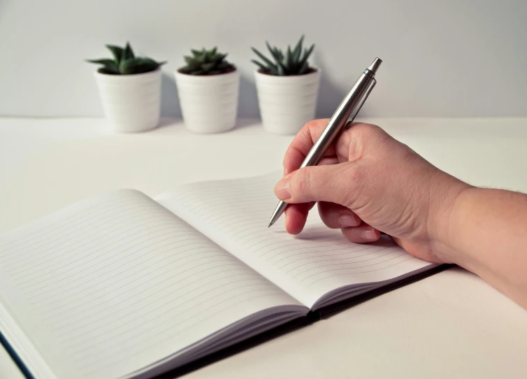 a person writing in a notebook with a pen, pots with plants, professional product shot, silver，ivory, full page