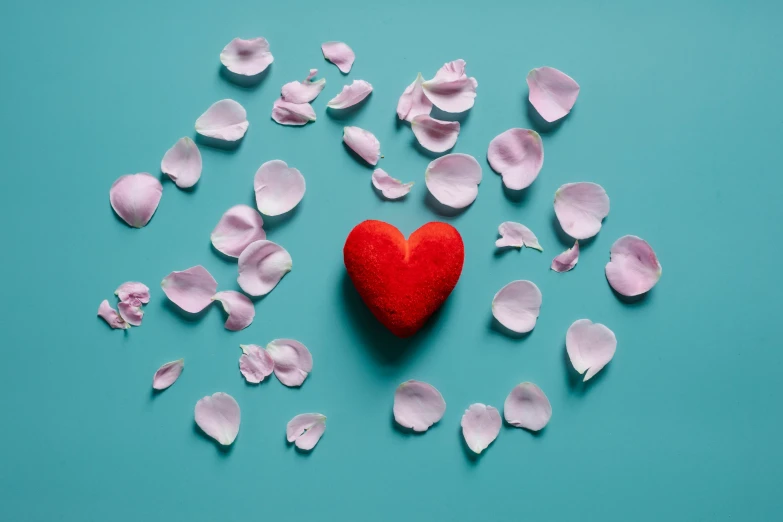 a red heart surrounded by petals on a blue background, by Julia Pishtar, pexels contest winner, pink and teal, shot on sony a 7, soft skin, teal