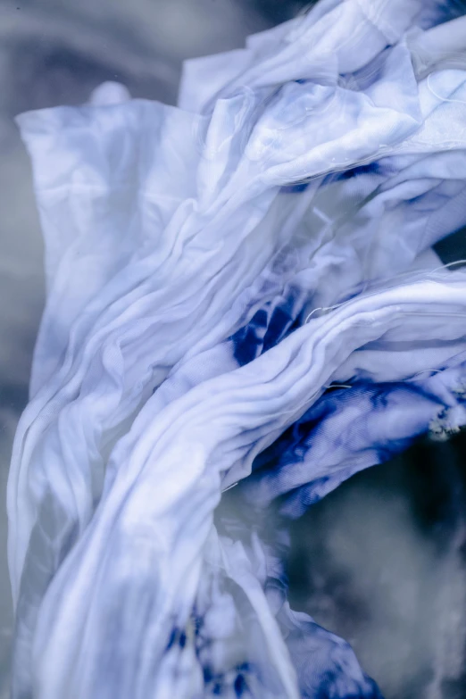 a close up of a fish in a body of water, inspired by Hu Zao, trending on unsplash, lyrical abstraction, draped in flowing fabric, white and blue, abstract claymation, colour photograph