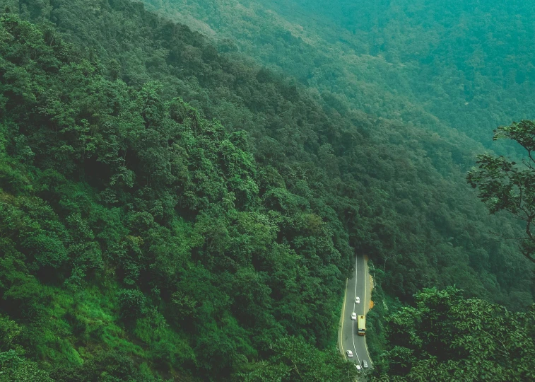 a road winding through a lush green forest, an album cover, pexels contest winner, hurufiyya, uttarakhand, 2 5 6 x 2 5 6 pixels, overview, festivals