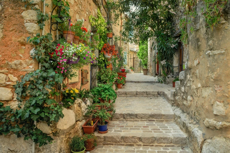 a narrow street lined with potted plants, inspired by Guido Borelli da Caluso, pexels contest winner, renaissance, medieval french landscape, traditional corsican, multi - coloured, summer light