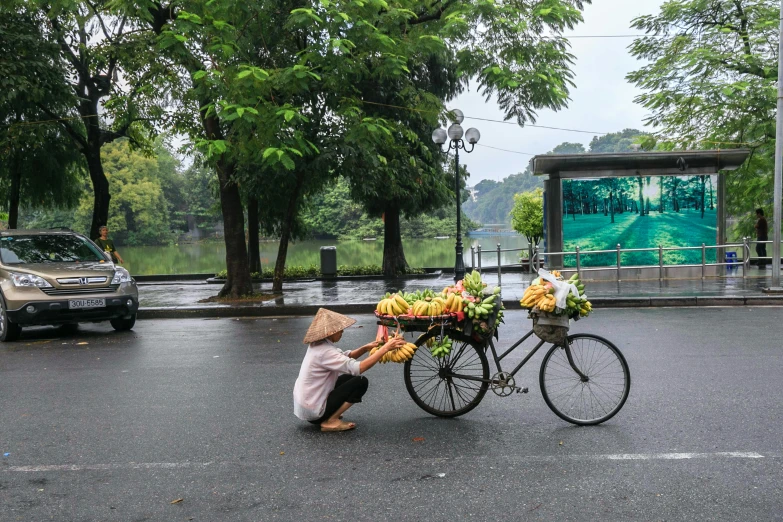 a person with a basket on the back of a bike, inspired by Steve McCurry, pexels contest winner, outdoors tropical cityscape, square, fruit and flowers, bus stop