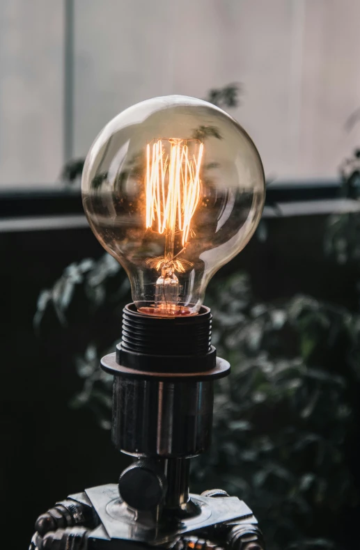 a light bulb sitting on top of a table, brown, biophilia mood, electricity superpowers, industrial aesthetic