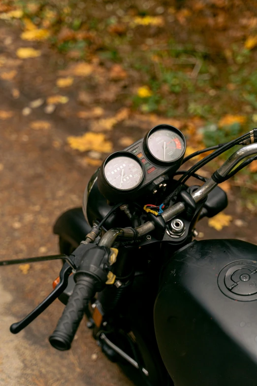 a close up of the handlebars of a motorcycle, a portrait, by Sven Erixson, unsplash, autumnal, panoramic shot, amongst foliage, electrical details