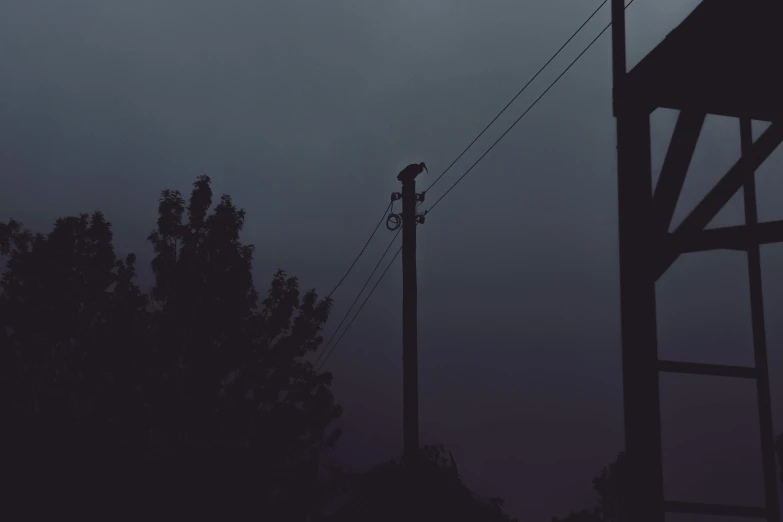 a bird sitting on top of a pole under a cloudy sky, an album cover, inspired by Elsa Bleda, low quality photo, foggy night, telephone wires, eerie thriller aesthetic!!!!