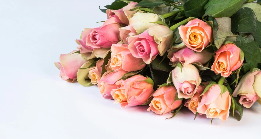 a bunch of pink roses sitting on top of a table, pink and orange, angled, with a white background, sherbert sky