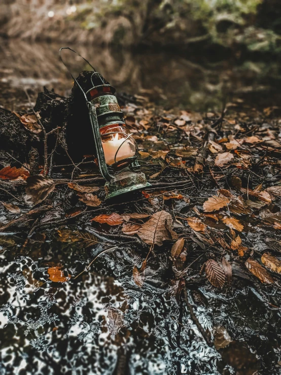 a lantern sitting on the ground next to a stream, an album cover, inspired by Elsa Bleda, pexels contest winner, realism, camo, rusting, small clocks as leaves, overcast!!! cinematic focus