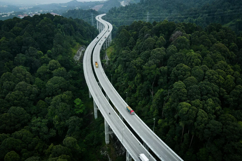 a train traveling over a bridge in the middle of a forest, by Bernardino Mei, pexels contest winner, hyperrealism, car on highway, malaysia jungle, view from helicopter, thumbnail