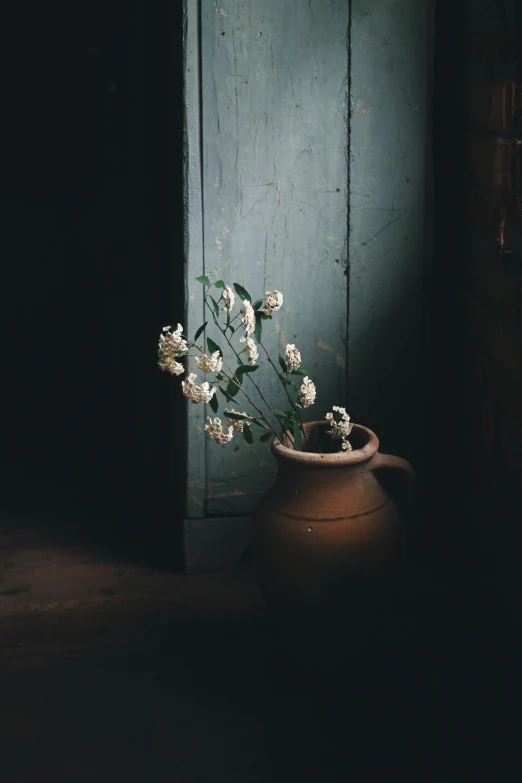 a vase that has some flowers in it, a still life, unsplash contest winner, leaning on door, soft dark muted colors, jasmine, rustic setting