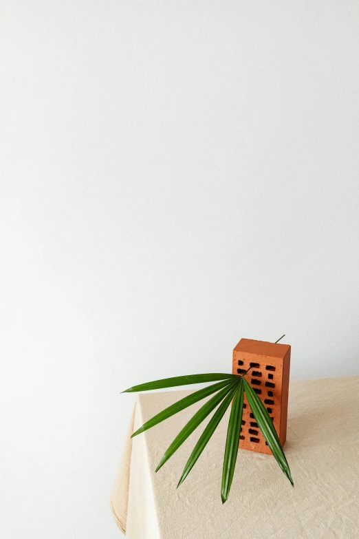 a plant that is sitting on top of a table, by Harvey Quaytman, trending on unsplash, new sculpture, wooden buildings, on white background, city high-rise, background image