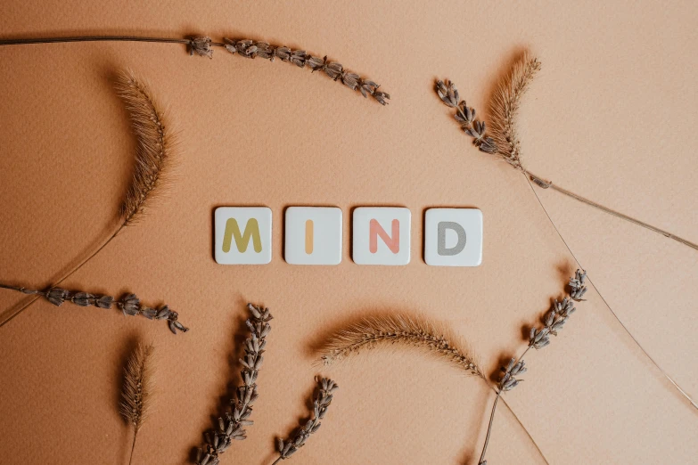 a close up of a plant with the word mind spelled on it, an album cover, by Caro Niederer, trending on pexels, cubes on table, orange pastel colors, background image, hd wallpaper