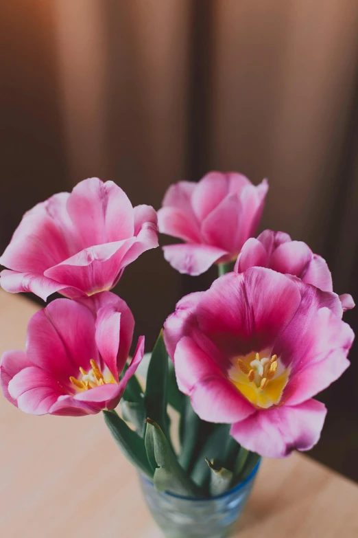 a vase filled with pink flowers sitting on a table, a still life, unsplash, tulip, medium format. soft light, up-close, trending photo