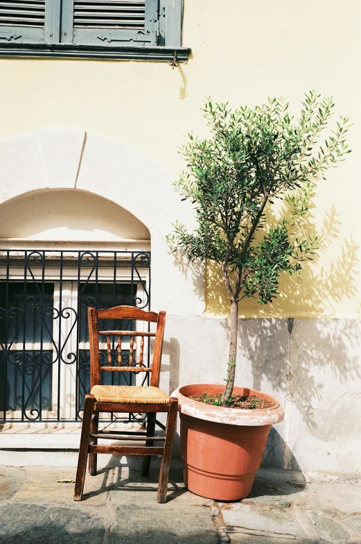 a couple of chairs sitting in front of a building, a photo, inspired by Riad Beyrouti, renaissance, olive tree, here is one olive, next to a plant, sparse detail