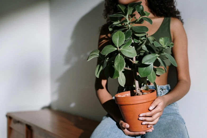 a woman holding a potted plant in her hands, trending on pexels, with brown skin, sitting down casually, bark for skin, large potted plant