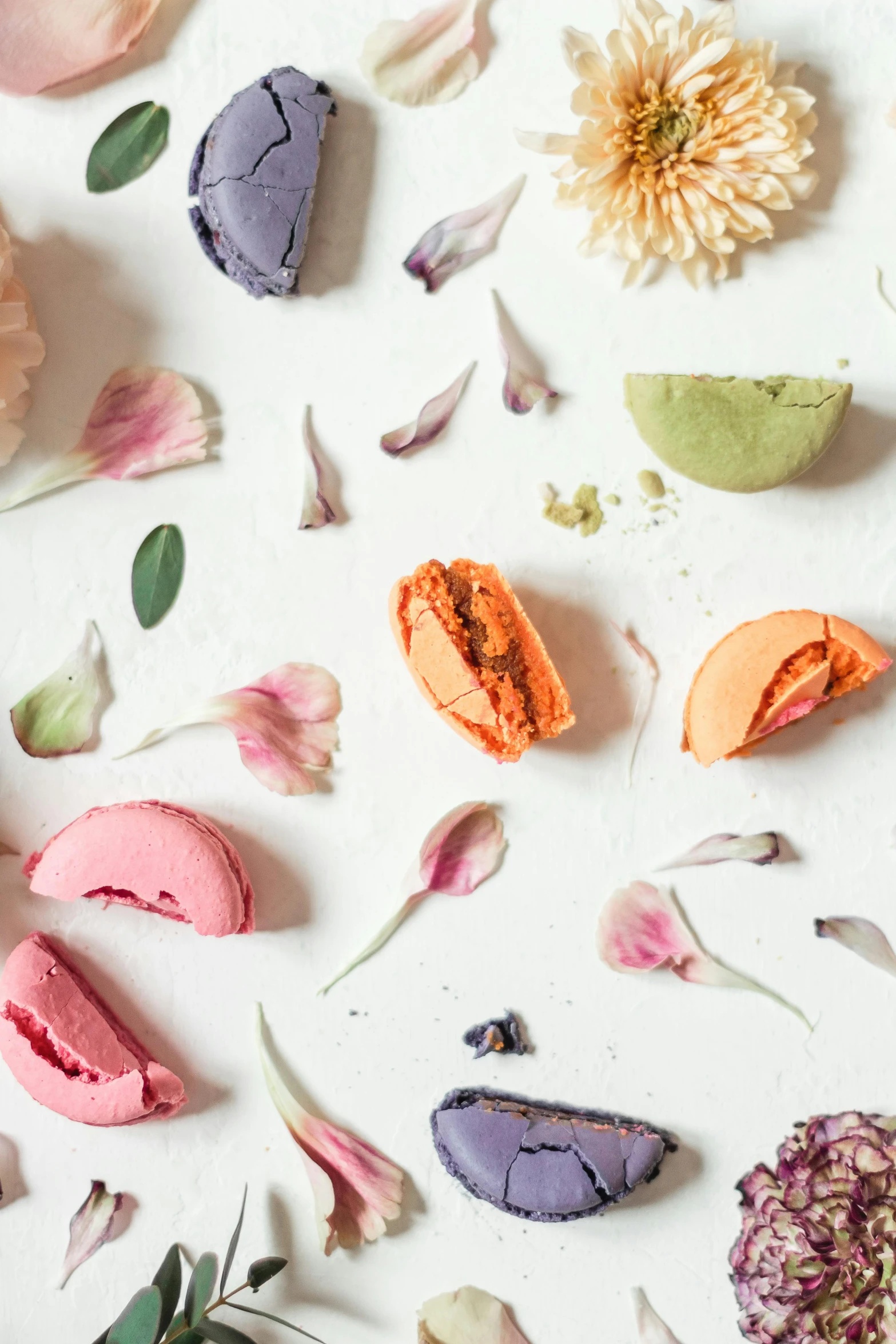 a white table topped with macarons and flowers, inspired by Pierre Mion, trending on unsplash, rococo, pastel flower petals flying, made of colorful dried flowers, still life photo of a backdrop, promo image