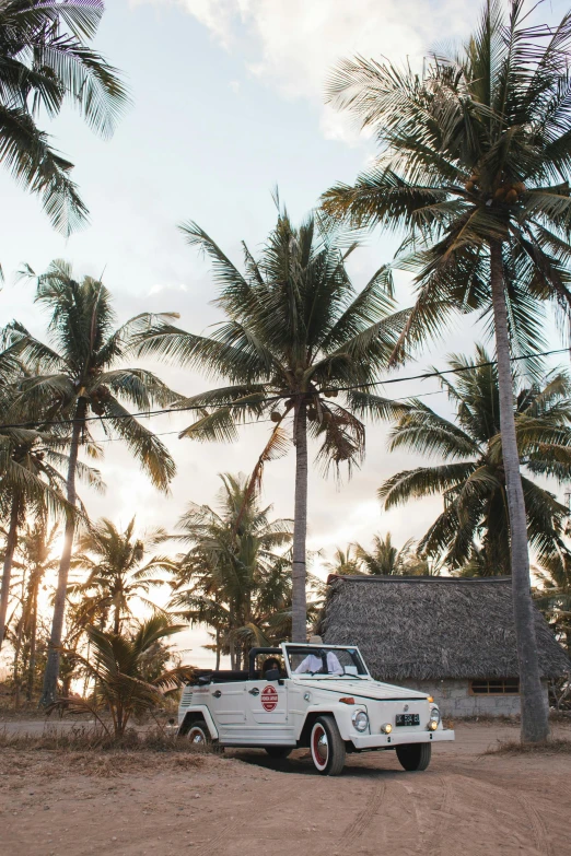 a white truck parked in front of palm trees, kombi, thatched roof, sun down, flatlay