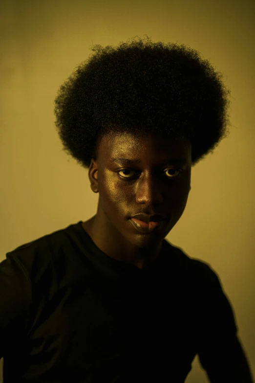 a close up of a person with an afro, pexels contest winner, hyperrealism, standing in a dimly lit room, androgynous male, black teenage boy, ( brown skin )