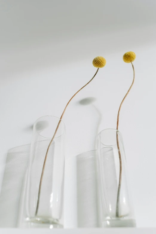 three vases with flowers in them on a shelf, inspired by Méret Oppenheim, dandelions, detail, long arm, yellow