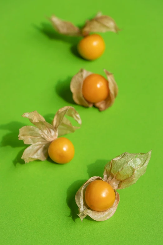 a group of fruits sitting on top of a green surface, bittersweet, organic ornaments, hubbard sundblom, transforming