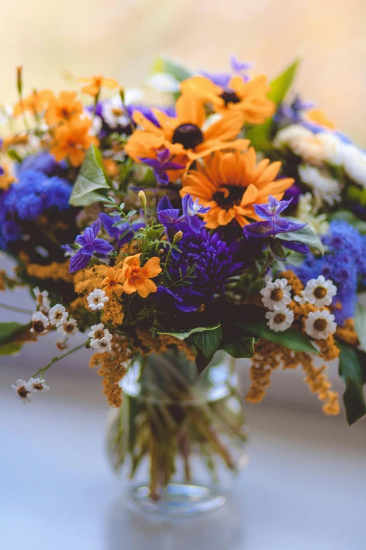 a vase filled with flowers sitting on a window sill, blueberry and orange and teal, helianthus flowers, shades of gold display naturally, up close shot