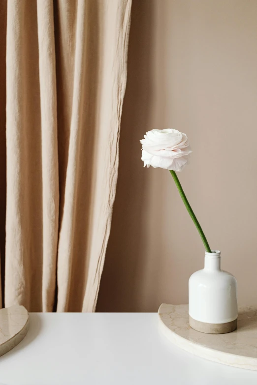 a white vase sitting on top of a white table, inspired by Emil Carlsen, minimalism, natural point rose', curtains, zoomed in, cream paper