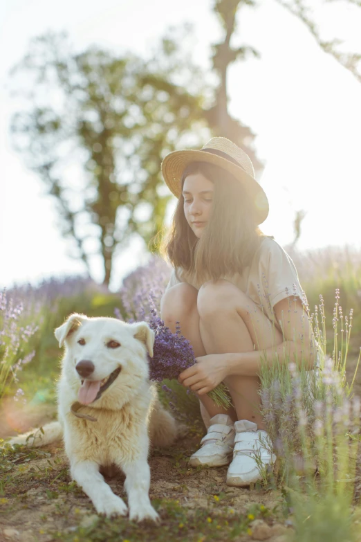 a woman sitting in a lavender field with her dog, by Julia Pishtar, teenage girl, australian, soft backlighting, portrait image