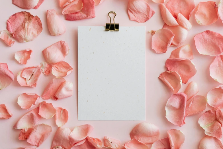 a piece of paper sitting on top of a pile of rose petals, by Carey Morris, pexels contest winner, light pink background, background image, flower frame, thumbnail