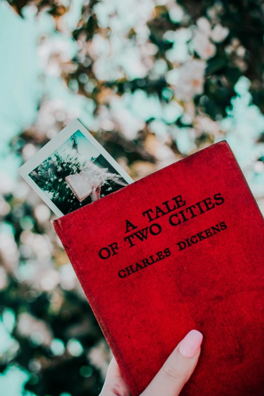 a person holding a book in front of a tree, an album cover, pexels contest winner, an victorian city, two characters, ( ( theatrical ) ), charles baudelaire