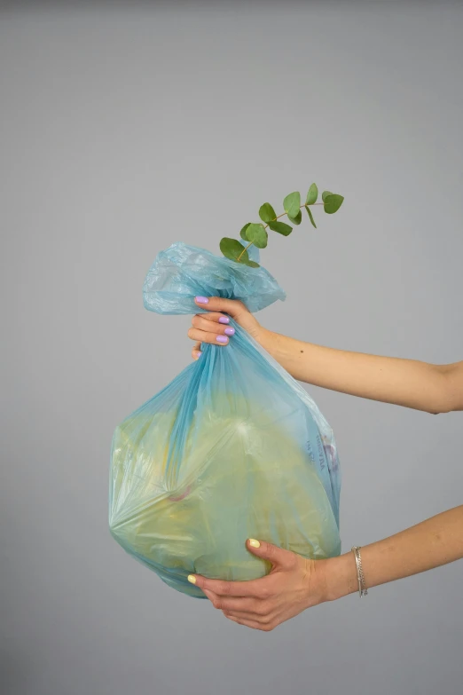 a person holding a bag with a plant in it, plasticien, extra crisp image, malika favre, transparent goo, blueish