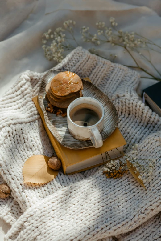 a book sitting on top of a blanket next to a cup of coffee, a still life, pexels contest winner, romanticism, bun ), brown sweater, 15081959 21121991 01012000 4k, snacks