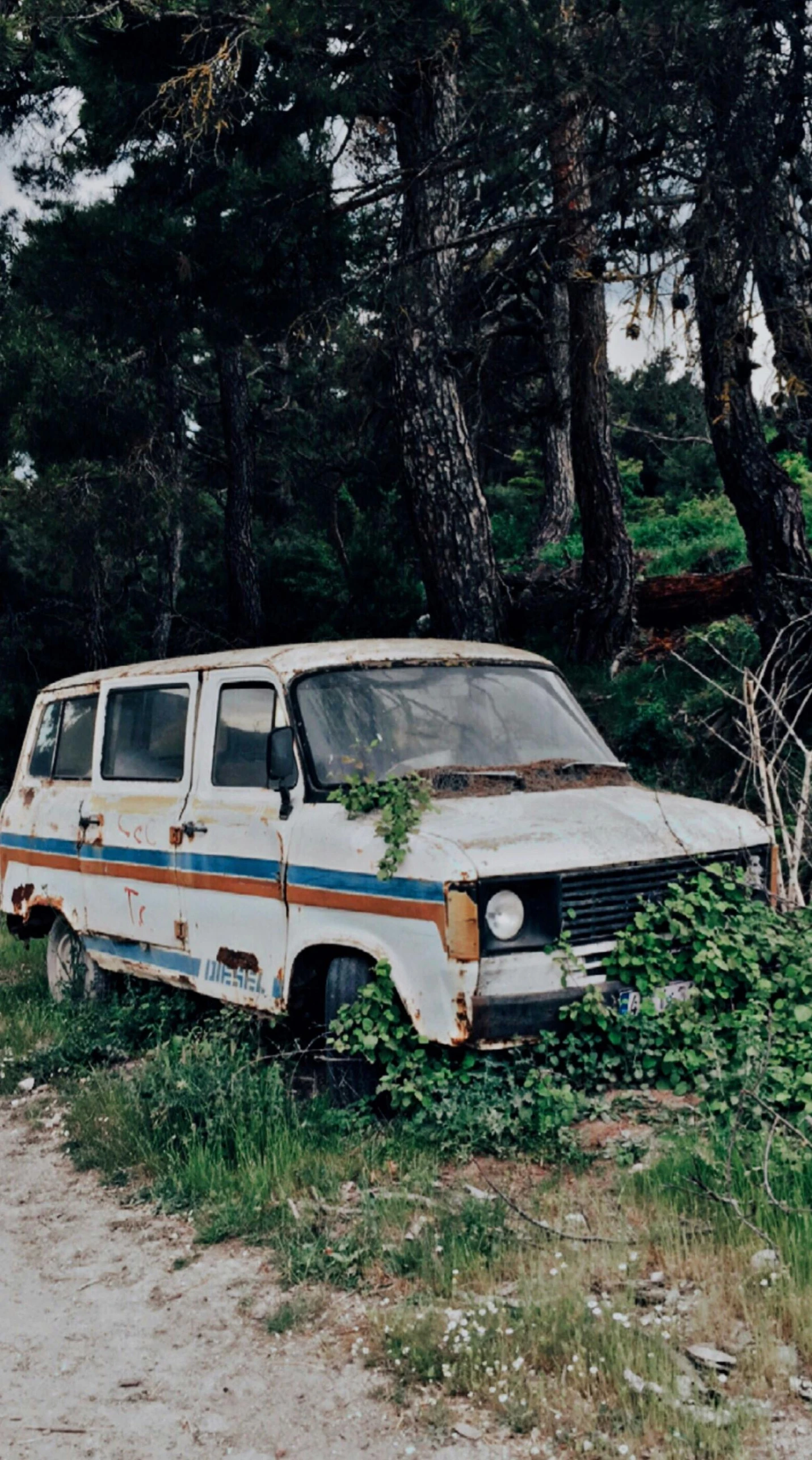 an old van parked on the side of a dirt road, an album cover, unsplash, many overgrown scrap cars, 🚿🗝📝, alexandros pyromallis, low quality photo