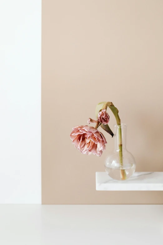 a vase filled with pink flowers sitting on a shelf, a minimalist painting, trending on unsplash, minimalism, brown and cream color scheme, modern minimalist f 2 0, transparent, architectural finishes