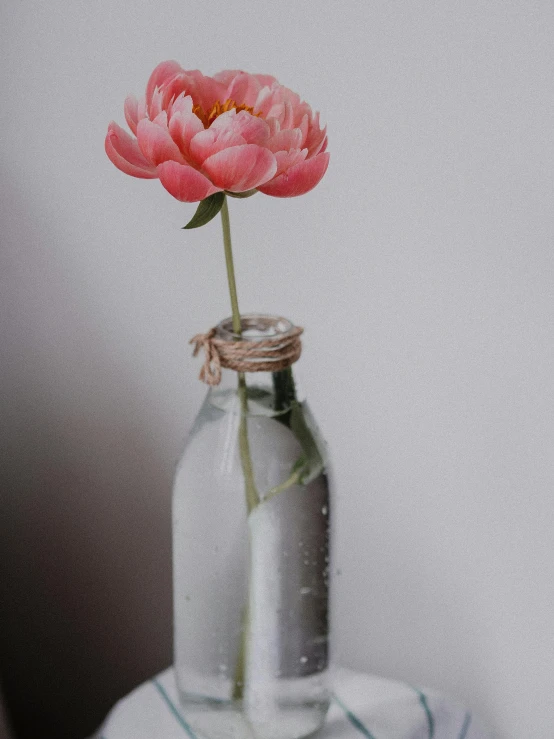 a pink flower in a glass bottle on a table, unsplash, hyperrealism, low quality photo, tall, hopeful, perfect