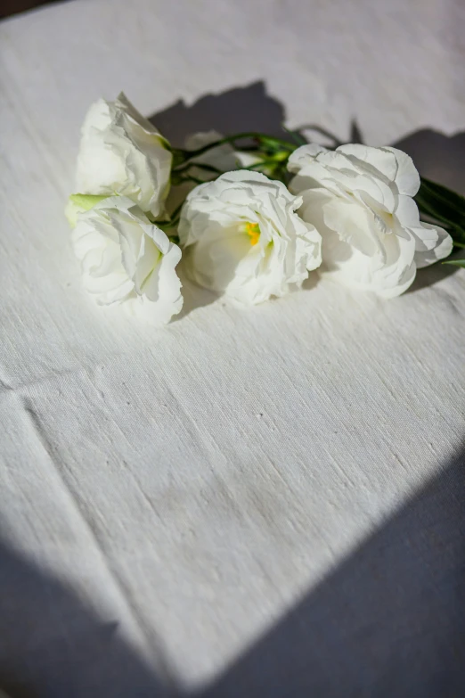 a bunch of white flowers sitting on top of a table, a marble sculpture, inspired by Rachel Whiteread, unsplash, romanticism, tablecloth, detail shot, shadows, hearts