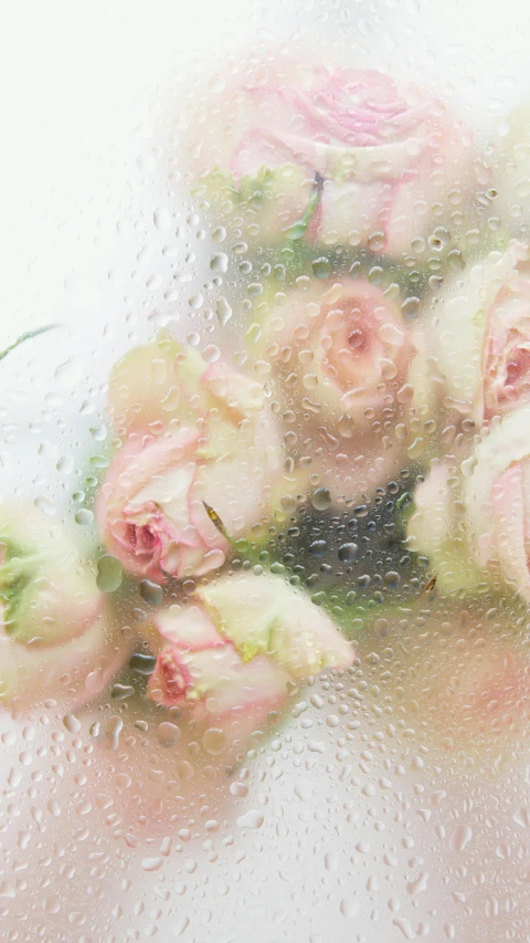 a bunch of pink roses sitting on top of a table, an album cover, inspired by Cy Twombly, unsplash, tuesday weld in a bubble bath, looking through frosted glass, uncropped, in muted colours