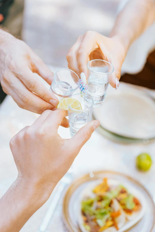 a group of people holding glasses over a table, schnapps, crystal clear, lifestyle, medium close shot