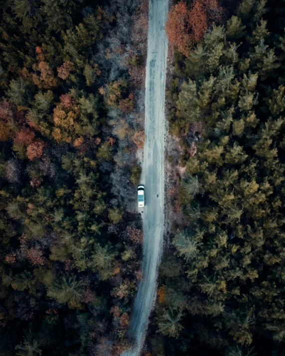 a car driving down a road in the middle of a forest, looking down on the camera, thumbnail, multiple stories, sports photo