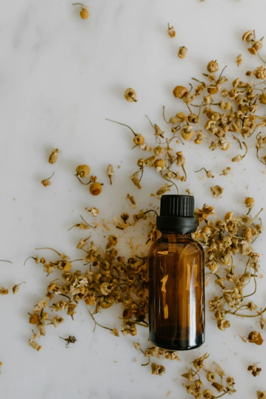 a bottle of essential oil surrounded by dried flowers, by James Morris, trending on unsplash, profile image, chamomile, thumbnail, blond