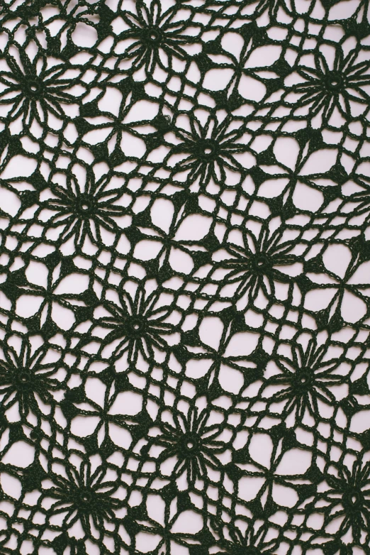 a close up of a piece of lace, inspired by Jakob Emanuel Handmann, op art, dark green, dark flower pattern wallpaper, wool, black on white background