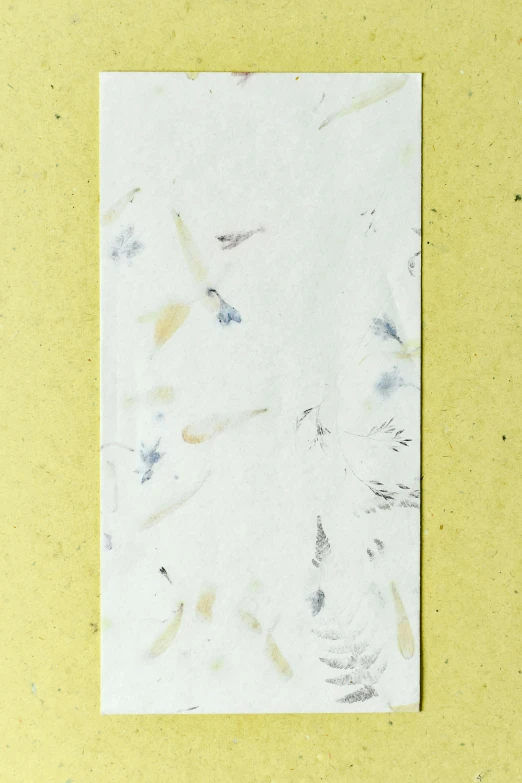 a piece of paper sitting on top of a table, inspired by Mark Tobey, long petals, - 9, bleached colours, q