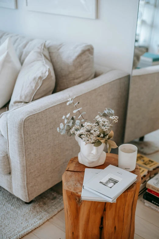 a living room with a couch and a coffee table, inspired by Constantin Hansen, pexels contest winner, books and flowers, soft texture, sitting on an armchair, beige color scheme